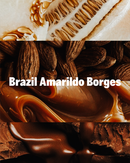 Brazil Amarildo Borges
