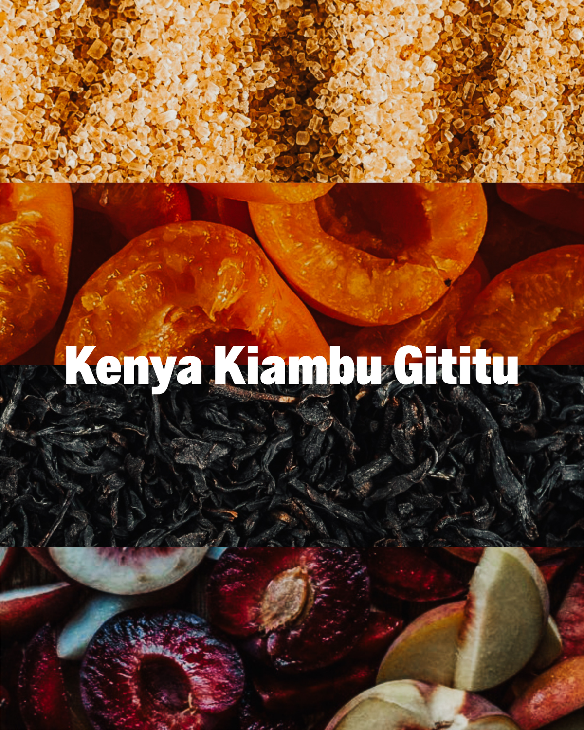 Kenya Kiambu Gititu