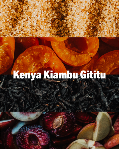 Kenya Kiambu Gititu