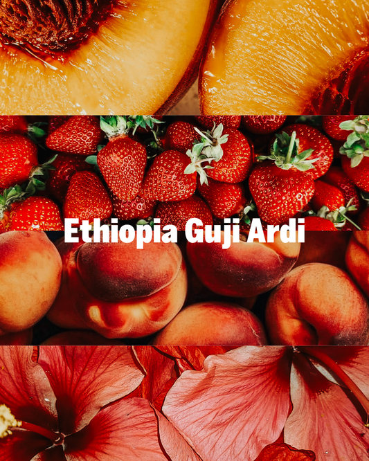 Ethiopia Guji Ardi