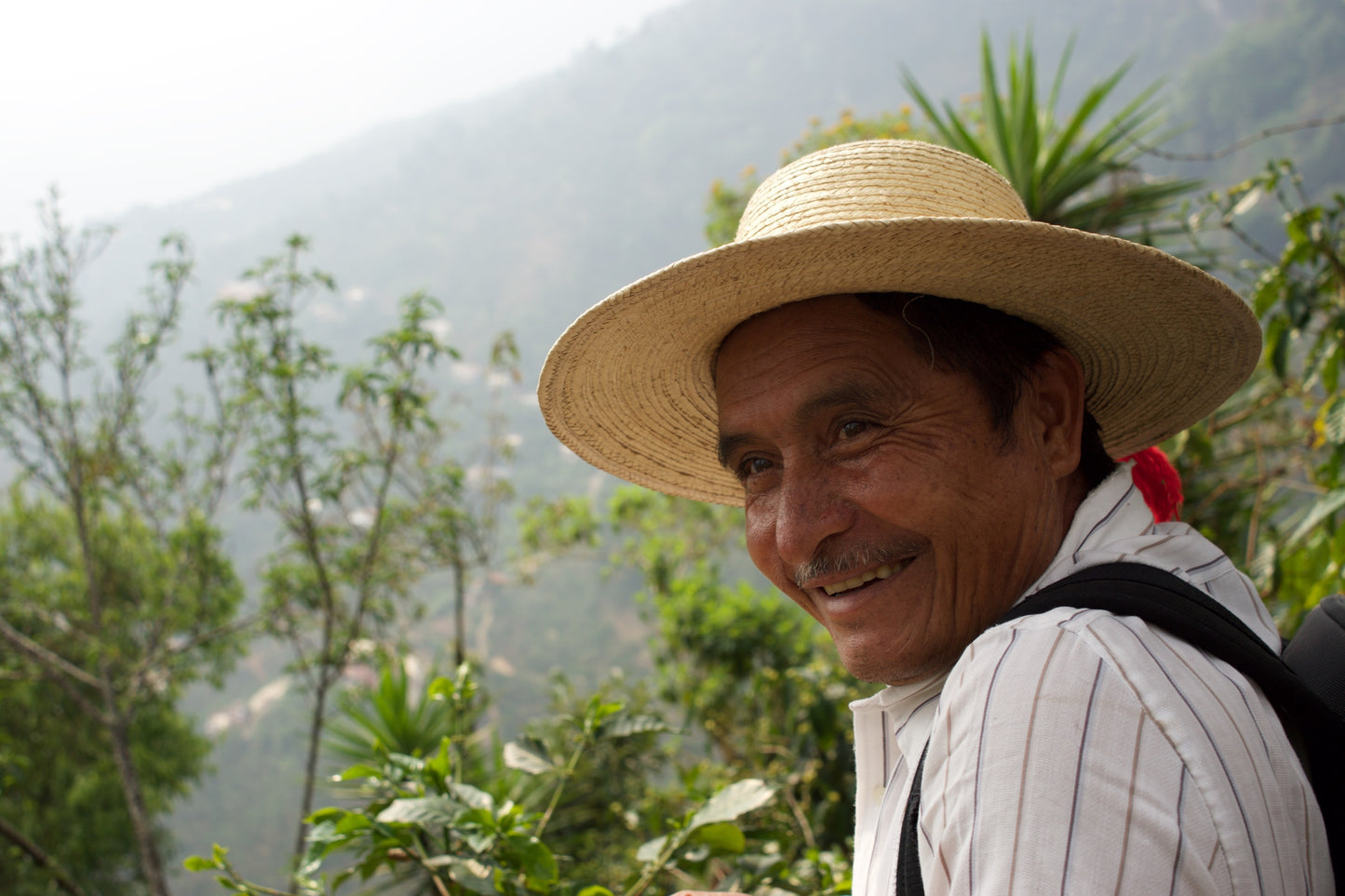 Guatemala Los Dos Socios